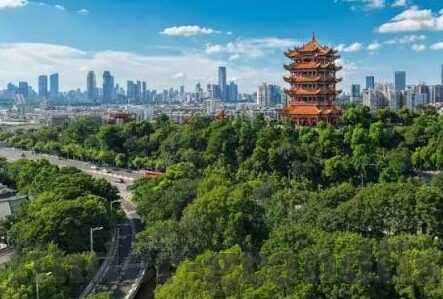 德国世界杯天台-德国世界杯天台，激情与回忆的交汇点