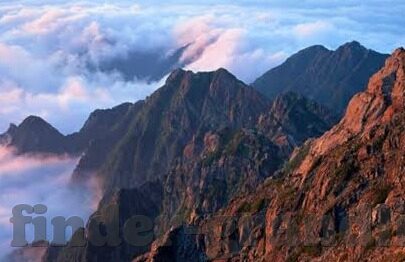 马拉多纳和梅西世界杯-马拉多纳与梅西，世界杯舞台上的传承与超越